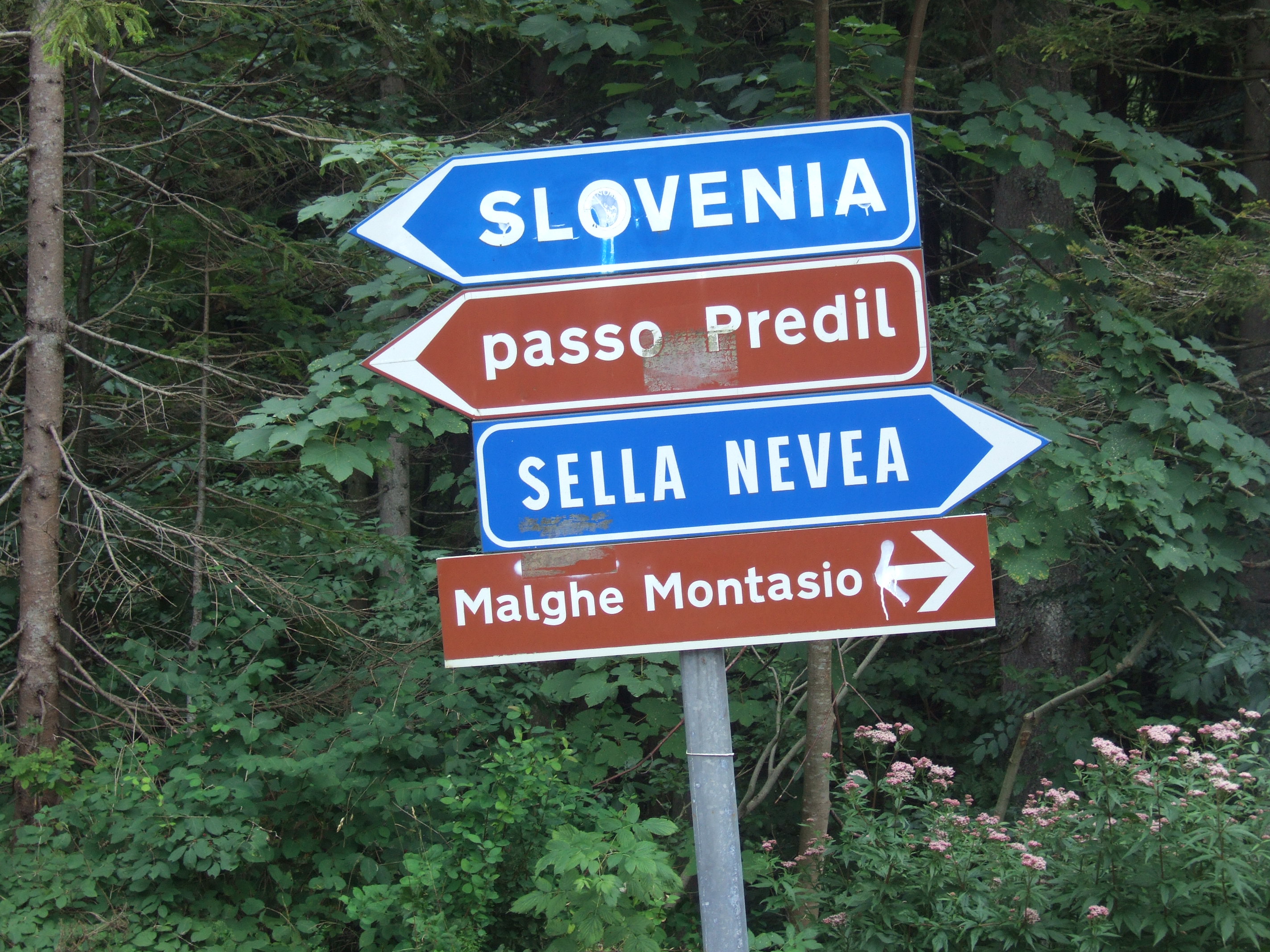 Wer die Wahl hat, hat die Qual